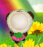 Urso moranquinho Minime Brasil®