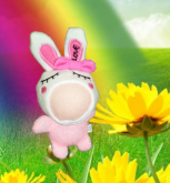 Coelinho Love Rosa